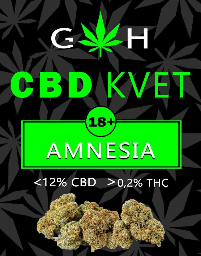 CBD kvet AMNESIA 2g